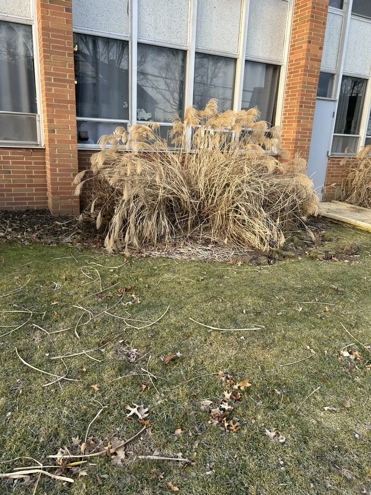 Trusted outdoor landscaping in Cleveland, OH by Wells Repair And Landscaping