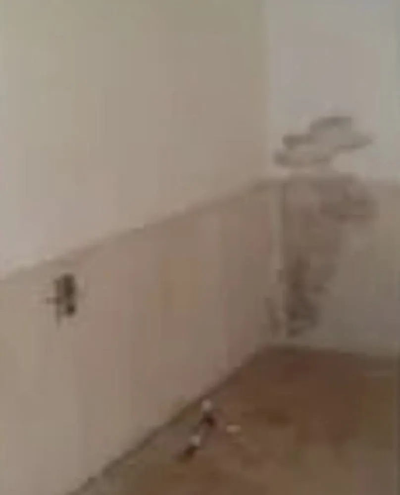 Local garden landscaping in Cleveland, OH by Wells Repair And Landscaping