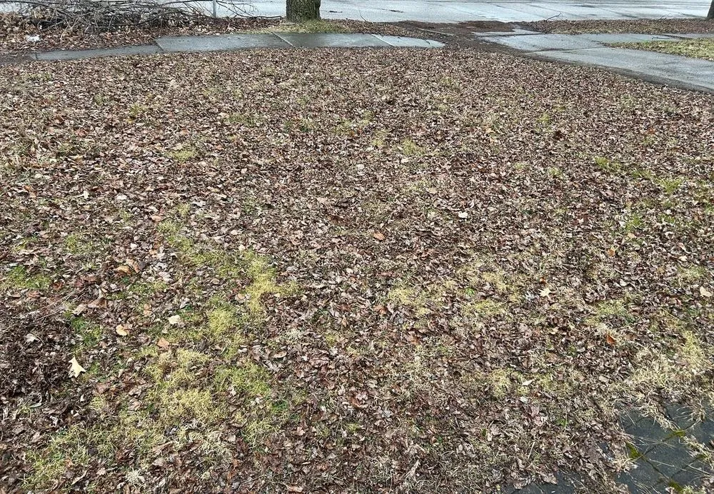 Top-rated outdoor landscaping for year-round maintenance in Cleveland, OH by Wells Repair And Landscaping