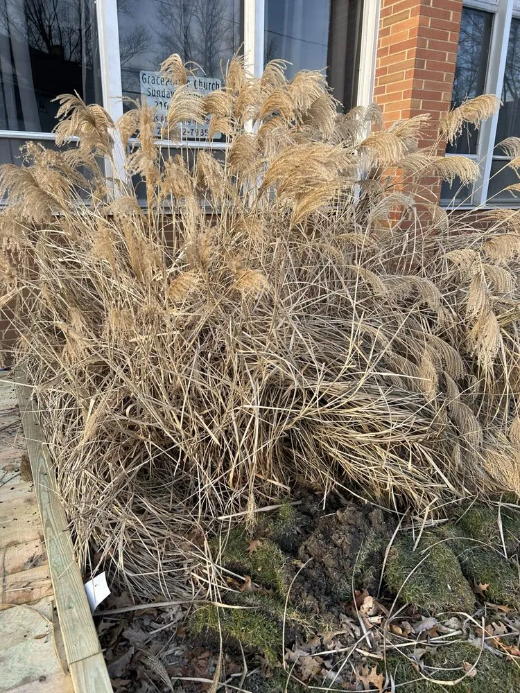 Reliable landscape design for outdoor upgrades across Cleveland, OH - Wells Repair And Landscaping