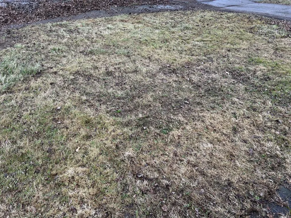 Reliable garden landscaping in Cleveland, OH - Wells Repair And Landscaping