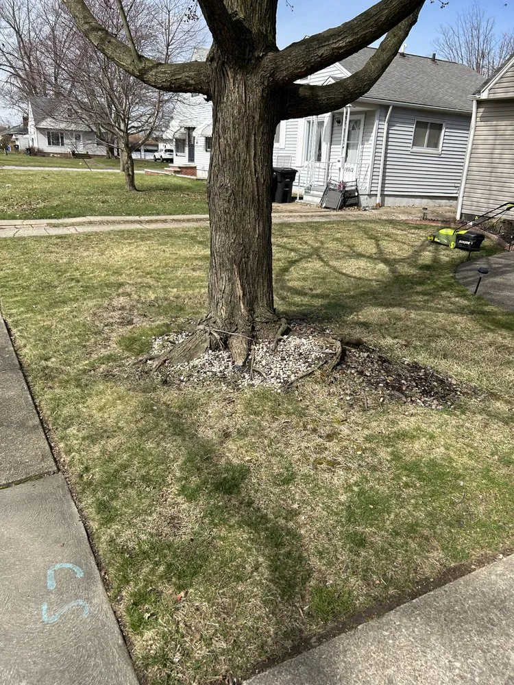 Reliable lawn care service in Cleveland, OH - Wells Repair And Landscaping