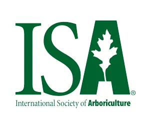 Professional lawn mowing service experts serving Princeton, NJ - Wells Tree and Landscape