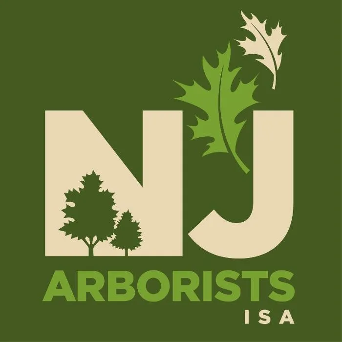 Expert landscape design in Princeton, NJ by Wells Tree and Landscape