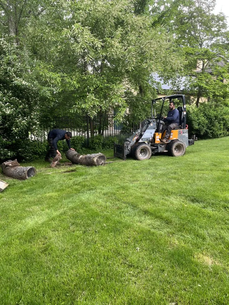 Custom landscape design in Princeton, NJ by Wells Tree and Landscape