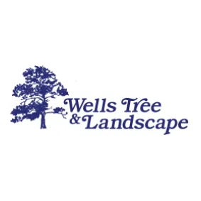 Trusted yard maintenance in Princeton, NJ - Wells Tree and Landscape