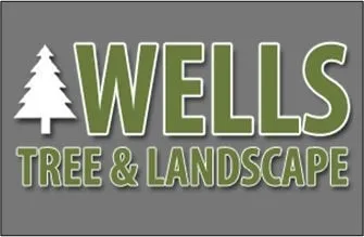 Trusted lawn care service in Princeton, NJ - Wells Tree and Landscape