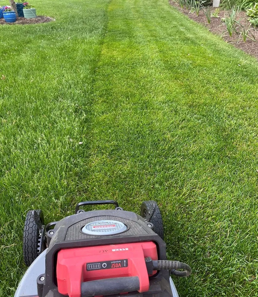 Top-rated garden landscaping for outdoor upgrades across Denver, CO - Wellshire Lawn Care