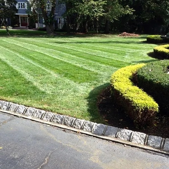 Top-rated lawn mowing service with custom design across Denver, CO - Wellshire Lawn Care