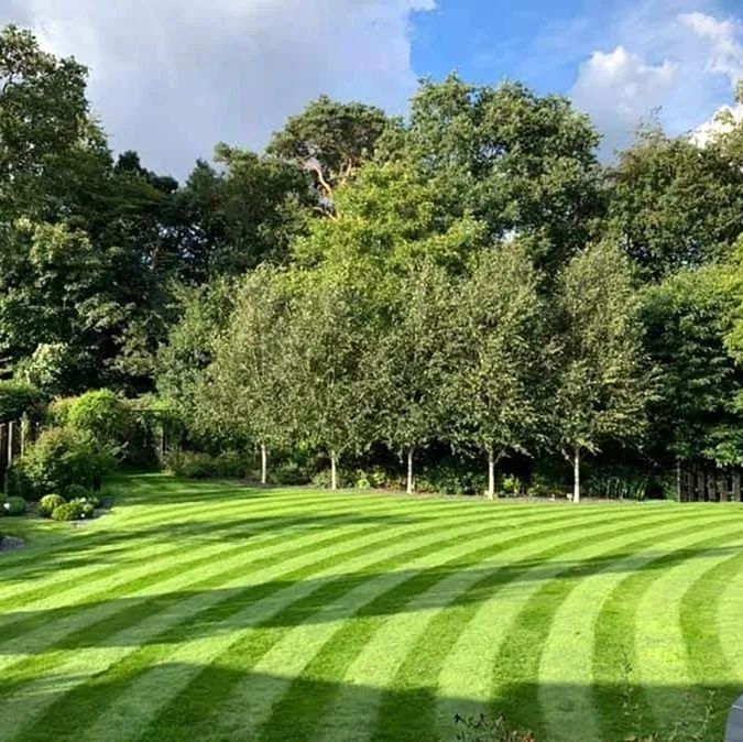 Custom landscape installation for year-round maintenance across Denver, CO - Wellshire Lawn Care