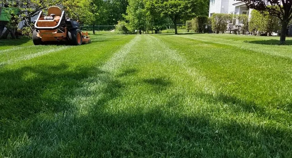 Affordable landscape design in Denver, CO by Wellshire Lawn Care