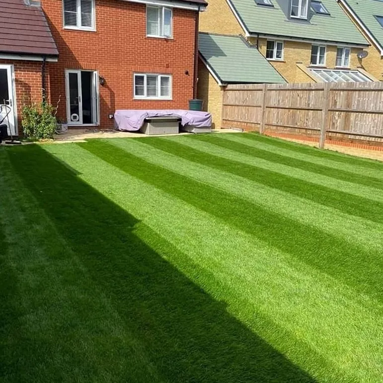 Trusted lawn mowing service in Denver, CO by Wellshire Lawn Care