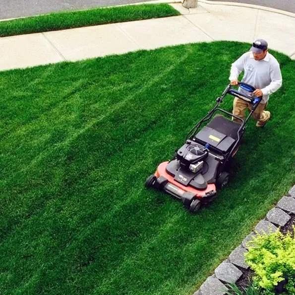 Reliable yard maintenance in Denver, CO - Wellshire Lawn Care