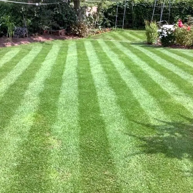 Top-rated outdoor landscaping near you in Denver, CO by Wellshire Lawn Care