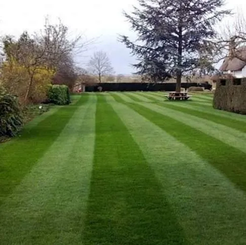 Local landscape design experts serving Denver, CO - Wellshire Lawn Care