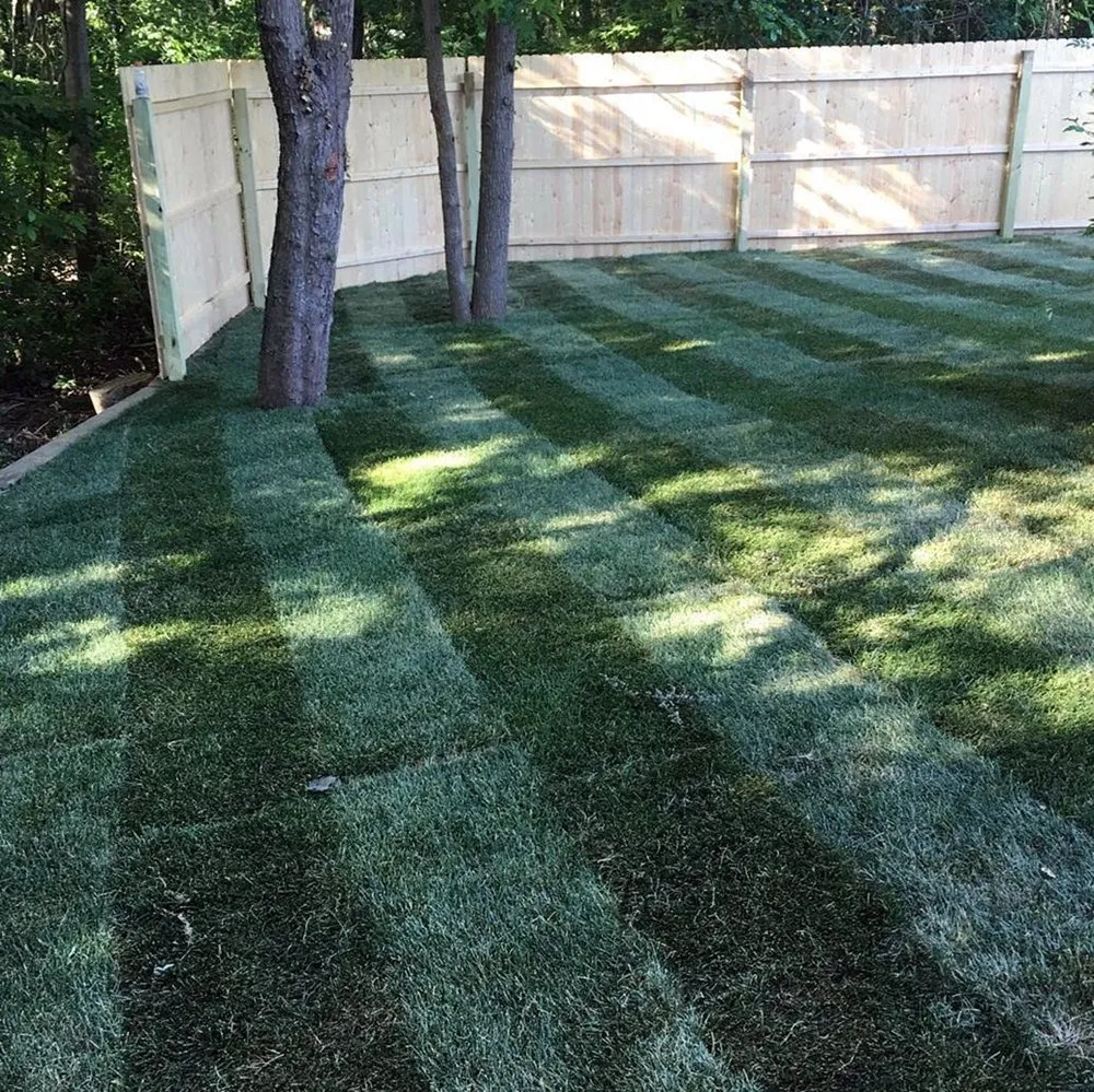 Affordable yard cleanup service for outdoor upgrades in Denver, CO by Wellshire Lawn Care