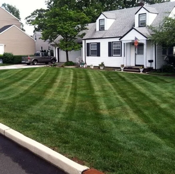 Local outdoor landscaping with custom design across Denver, CO - Wellshire Lawn Care