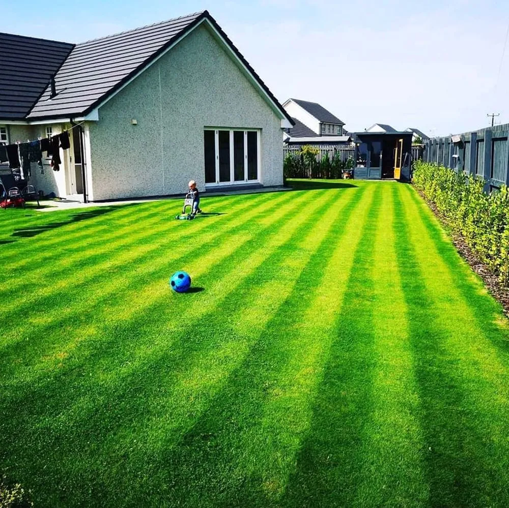 Trusted yard cleanup service in Denver, CO by Wellshire Lawn Care