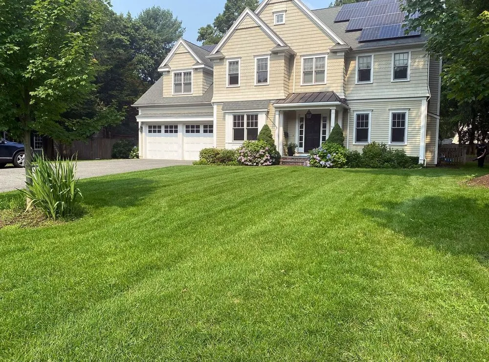 Affordable landscaping services near you across Denver, CO - Wellshire Lawn Care