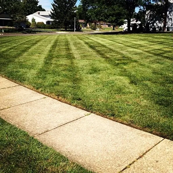 Reliable landscaping services for homes in Denver, CO by Wellshire Lawn Care