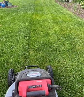 Wellshire Lawn Care Logo