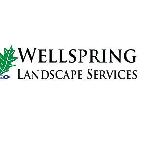 Trusted landscape installation for homes in Austin, TX by Wellspring Landscape Services