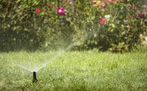 Custom lawn care service experts serving Austin, TX - Wellspring Landscape Services