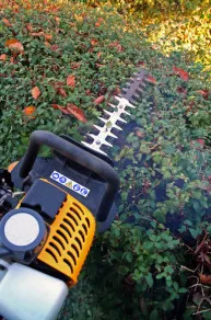 Trusted yard maintenance in Austin, TX - Wellspring Landscape Services