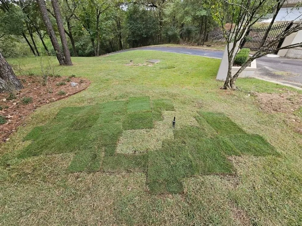 Professional lawn mowing service near you in Hot Springs, AR by Wellspring Lawn Care