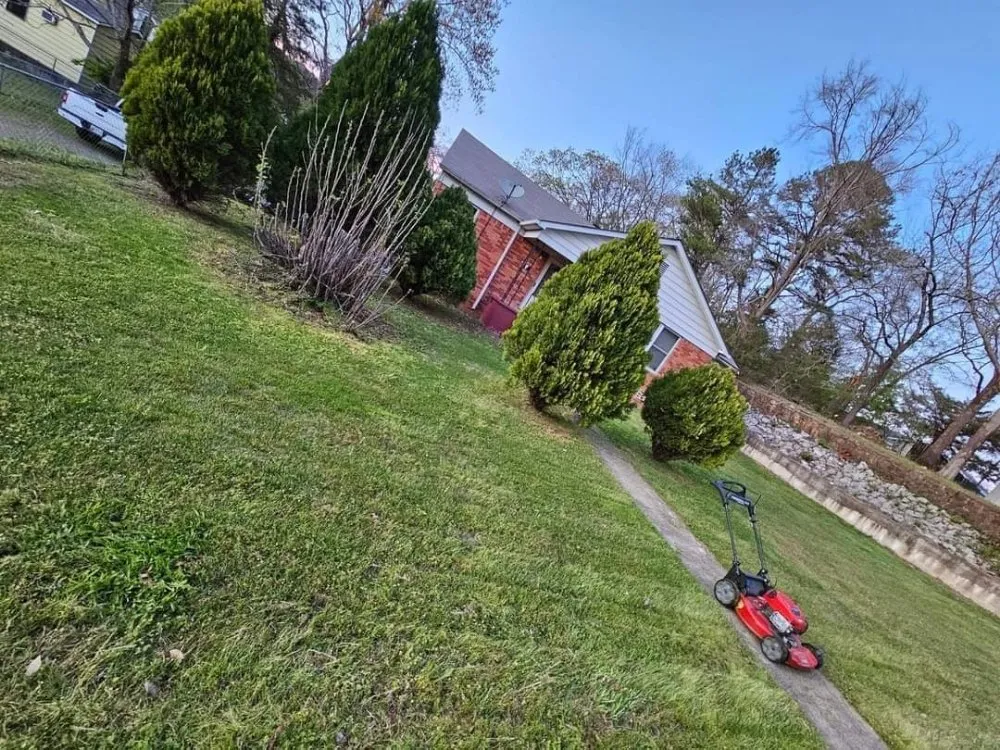 Trusted yard cleanup service for residential properties in Hot Springs, AR by Wellspring Lawn Care