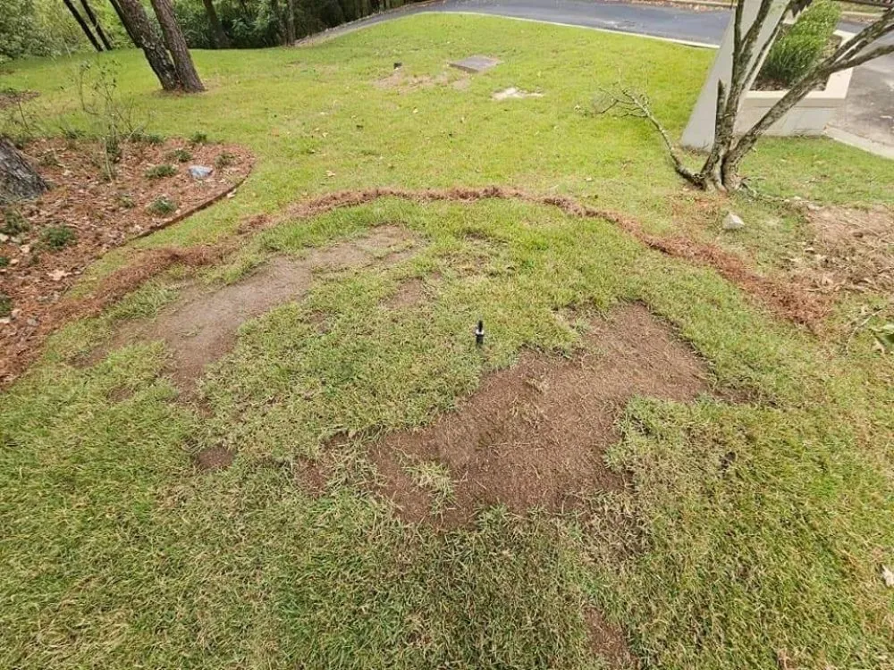 Custom landscaping services for homes across Hot Springs, AR - Wellspring Lawn Care