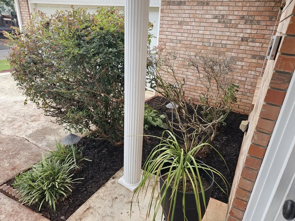 Local landscape installation experts serving Hot Springs, AR - Wellspring Lawn Care