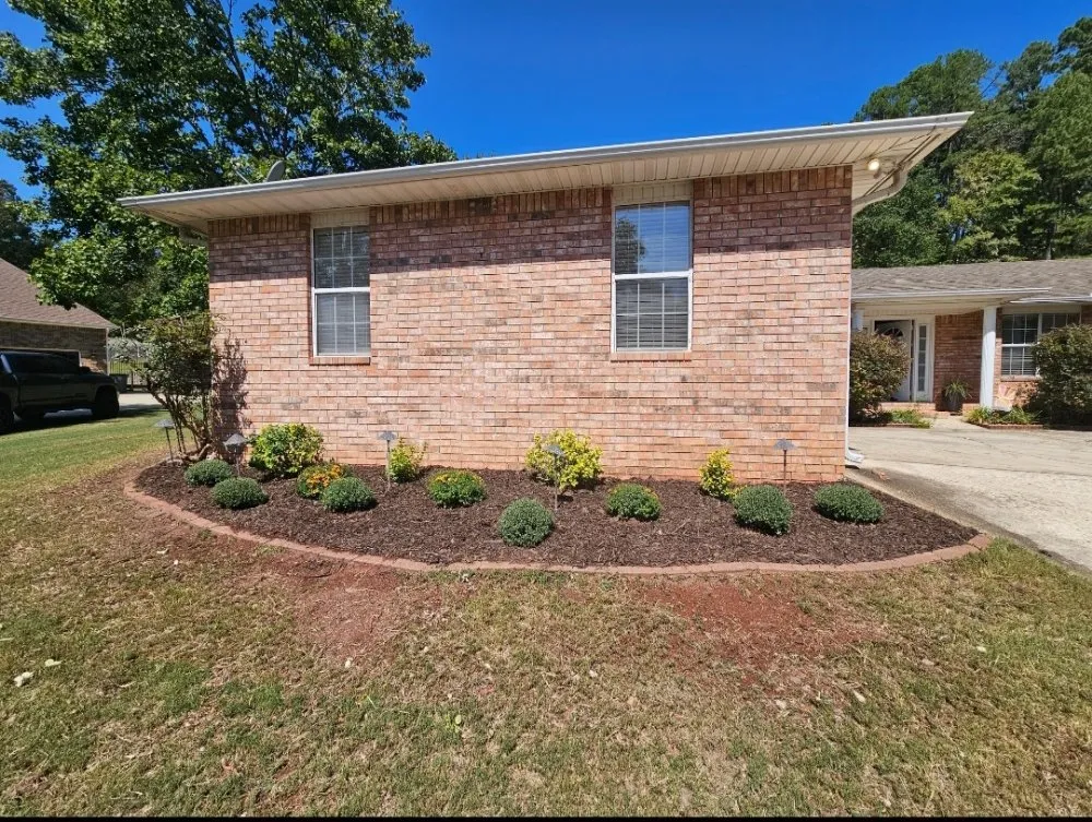 Professional yard cleanup service near you in Hot Springs, AR by Wellspring Lawn Care