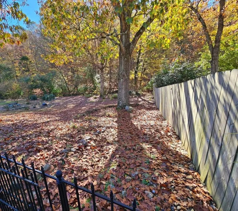 Affordable landscape design experts serving Hot Springs, AR - Wellspring Lawn Care