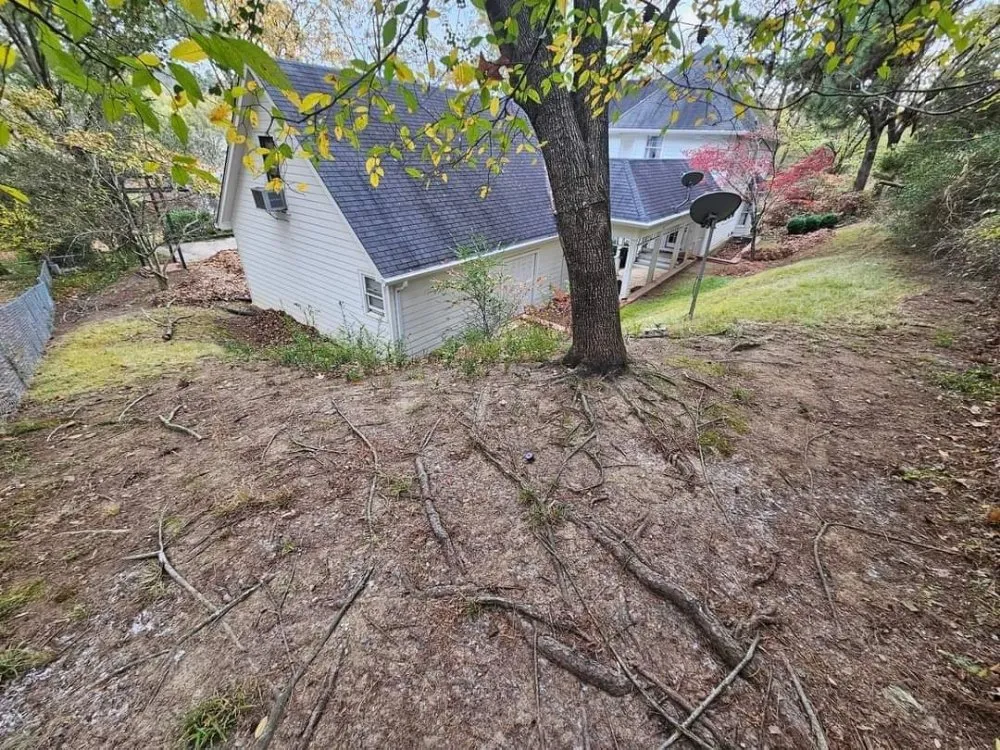 Expert outdoor landscaping in Hot Springs, AR - Wellspring Lawn Care