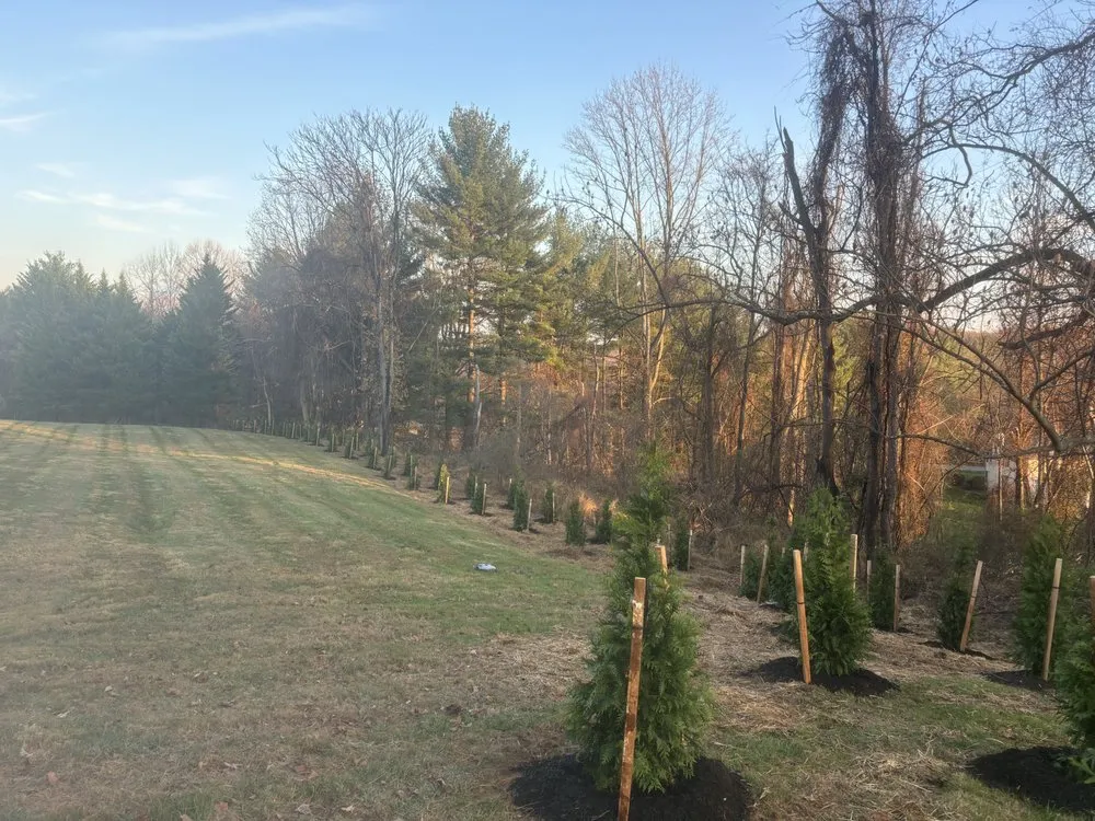 Custom landscape design in Monkton, MD by Welsh Landscaping & Nursery