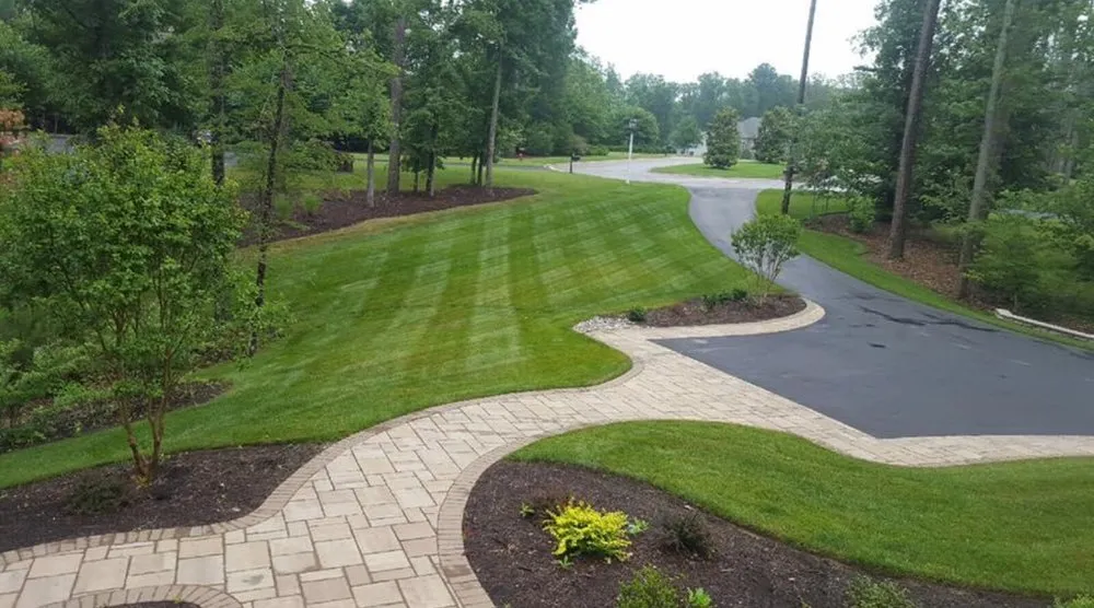 Top-rated yard cleanup service for year-round maintenance across Springfield, VA - Wember Landscaping