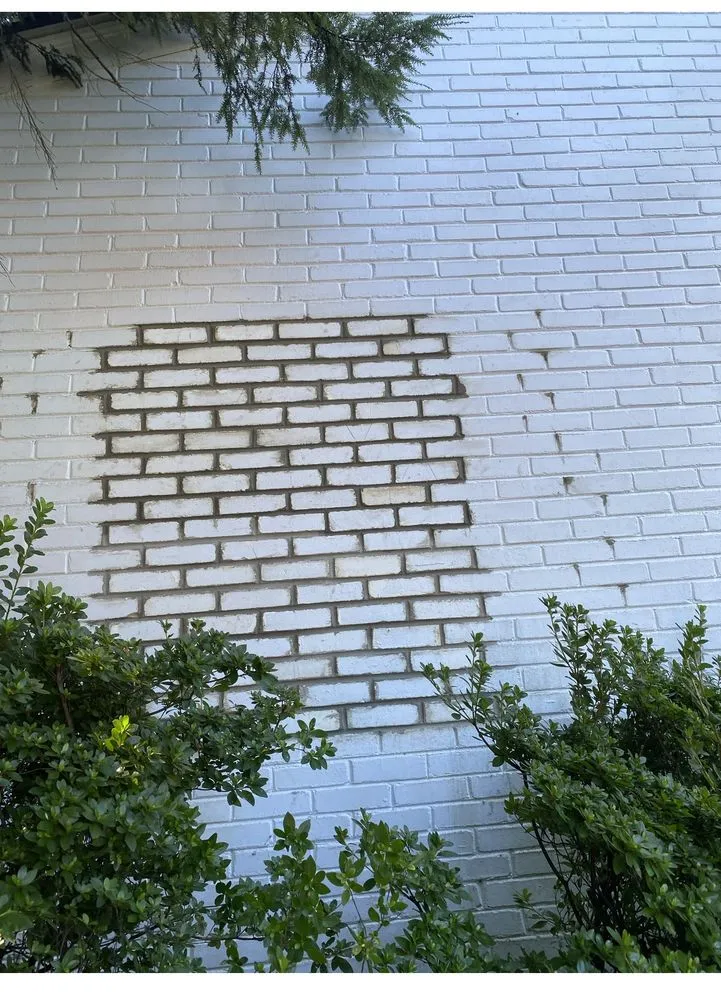 Trusted lawn care service for year-round maintenance across Springfield, VA - Wember Landscaping