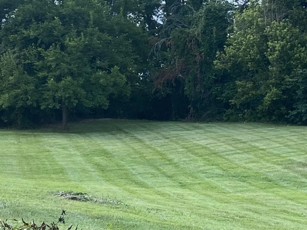 Top-rated yard maintenance in Madison, IN by Wemo