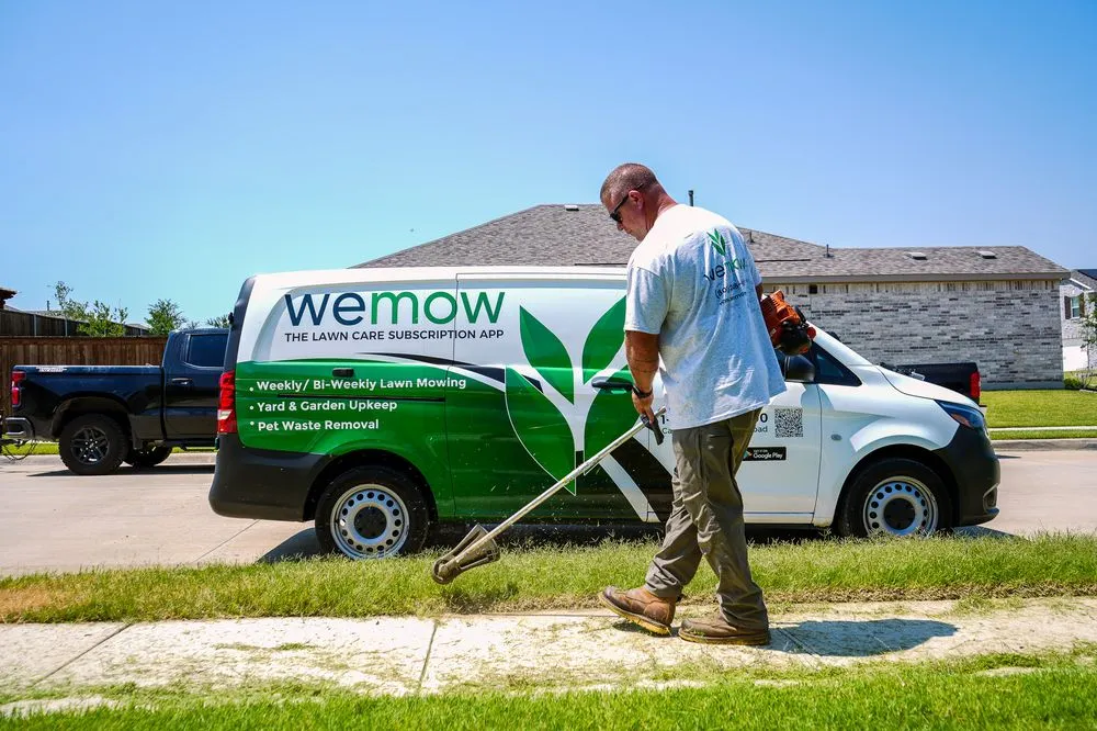 Reliable landscape installation experts serving Allen, TX - Wemow