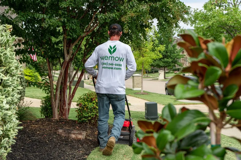 Local residential landscaping in Allen, TX - Wemow