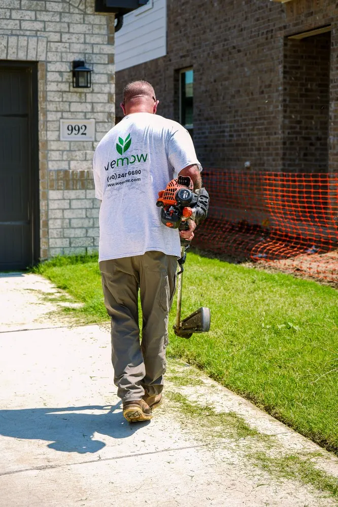 Local landscaping services with custom design across Allen, TX - Wemow