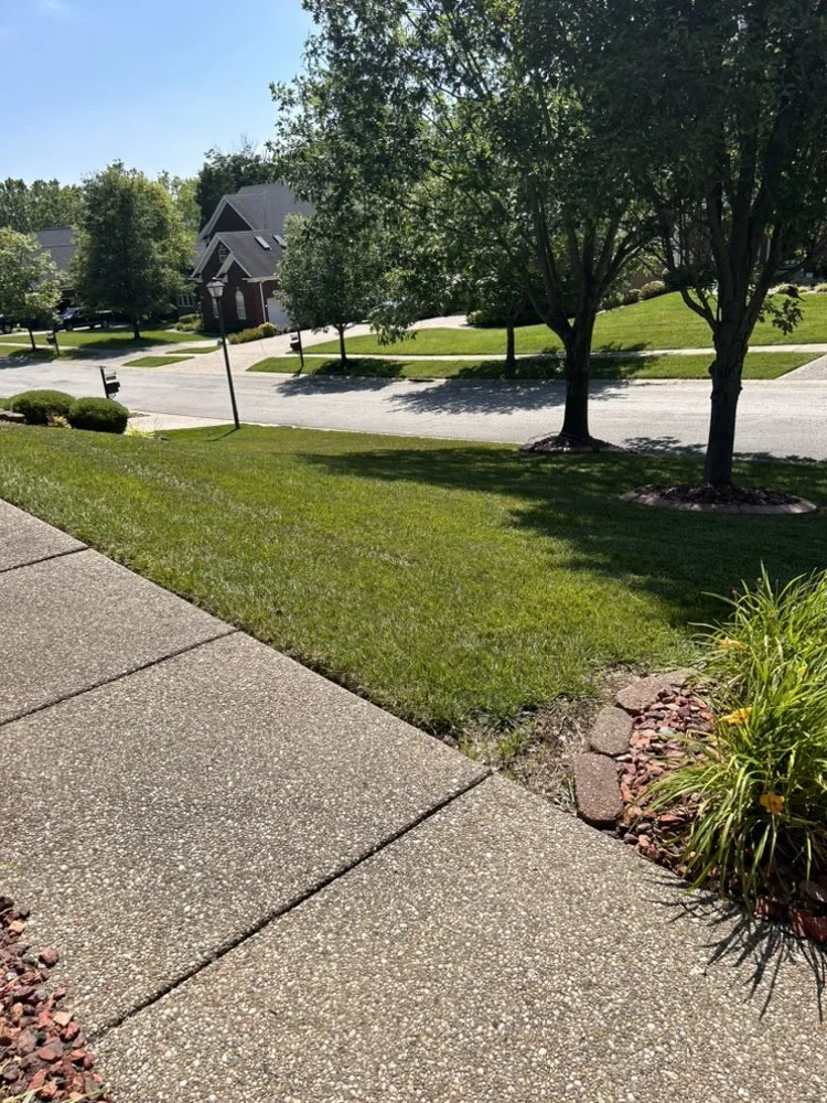 Expert outdoor landscaping for homes across Louisville, KY - Wempe Lawn Services