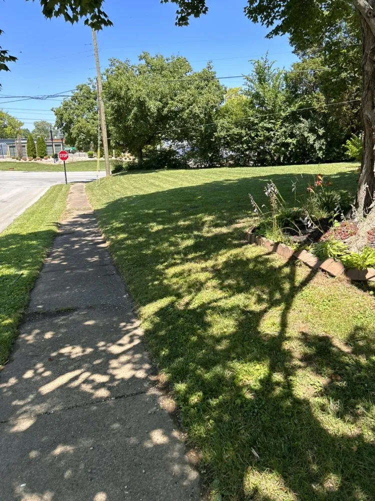 Professional yard cleanup service for beautiful yards across Louisville, KY - Wempe Lawn Services