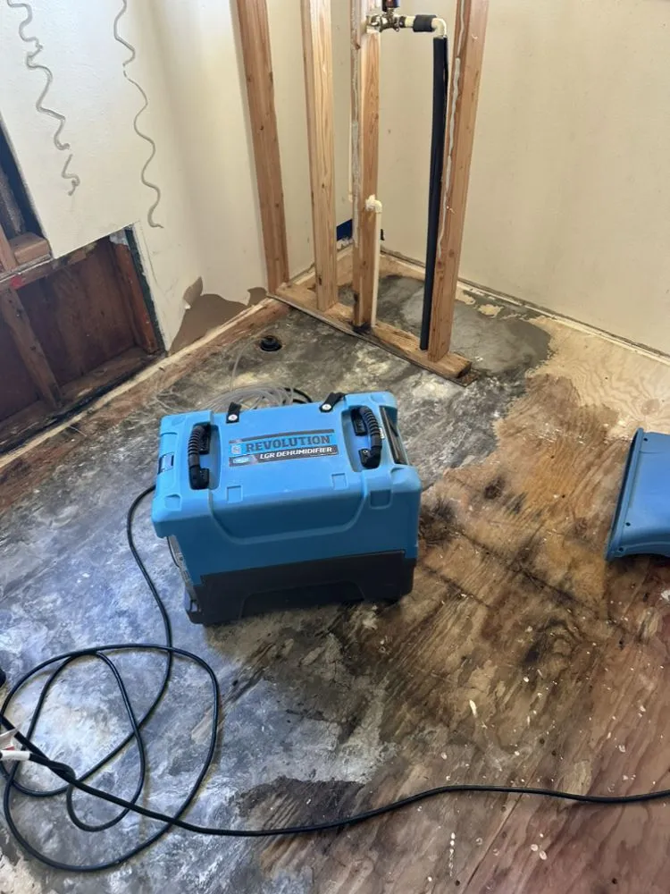 Professional yard cleanup service for year-round maintenance across East Wenatchee, WA - Wenatchee Curbing Service