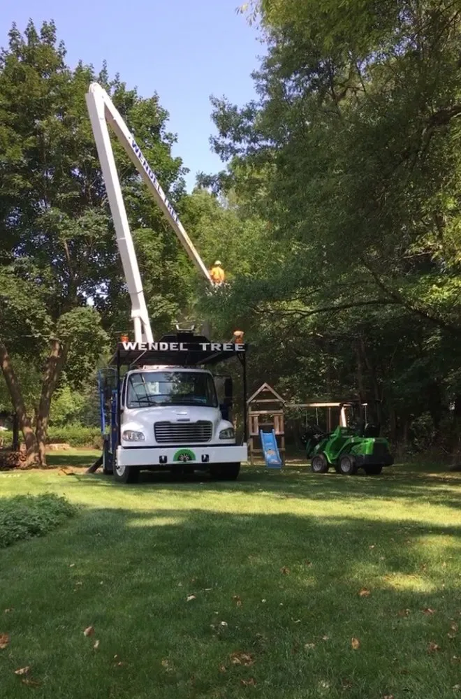 Expert landscaping services experts serving Rochester, MI - Wendel Tree & Landscaping