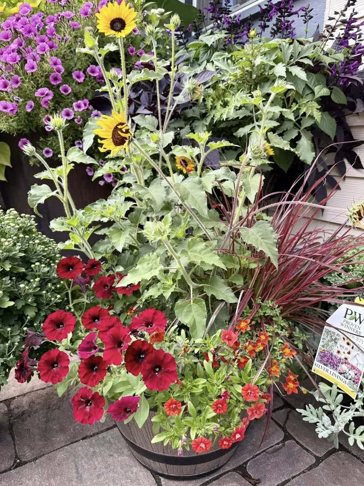 Affordable lawn mowing service for year-round maintenance in Germantown, WI by Wendland Landscape Services