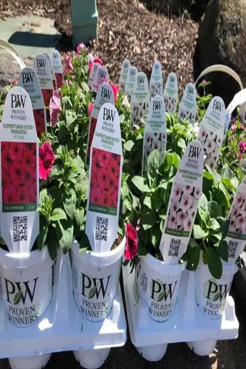 Trusted yard maintenance in Germantown, WI by Wendland Landscape Services