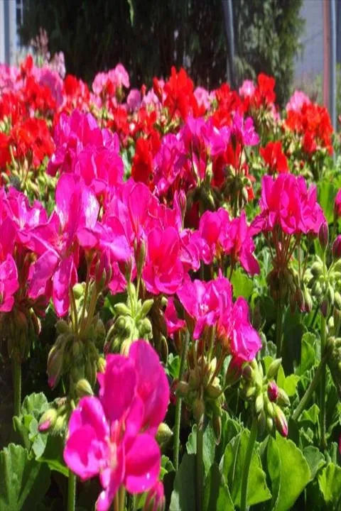 Trusted yard cleanup service in Germantown, WI - Wendland Landscape Services