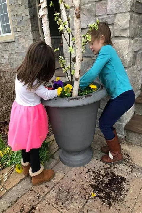 Affordable lawn care service with custom design in Germantown, WI by Wendland Landscape Services